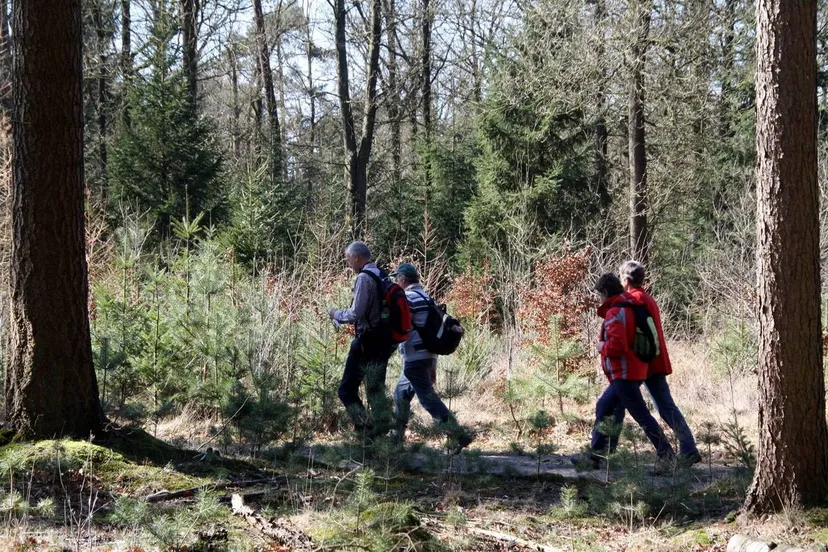 Taribush Wandelfestival (4)