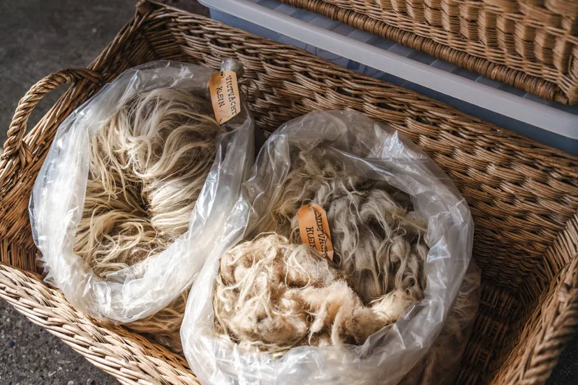 Ruinen Wol Drents heideschaap Brenda van de Wal