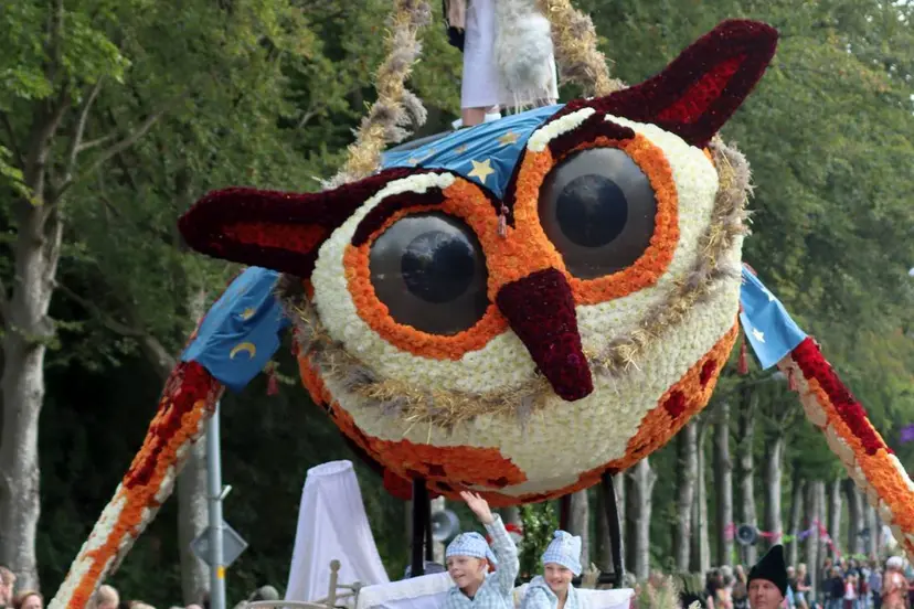 fred-corso