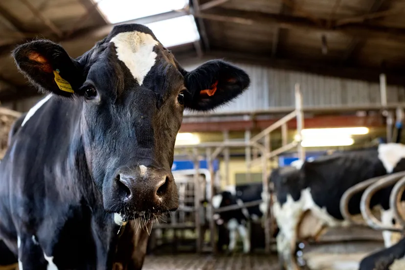 143 ntr vergunningverlening voor stikstof ligt tijdelijk stil