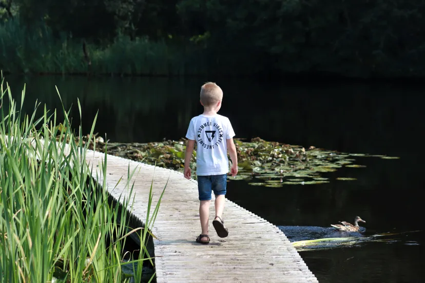 158 de invloed van water op het fryslan van de toekomst bron harrie dijkstra