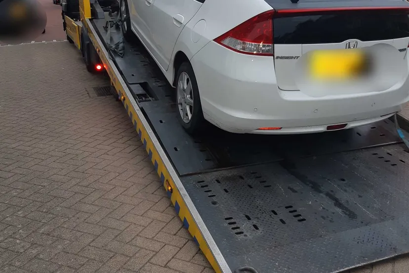 181643889 1681448652044187 9218041569402064268 n