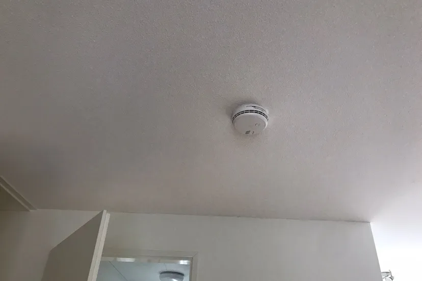 181ad678 0c37 43c7 a8bd 973ad8f8f00b