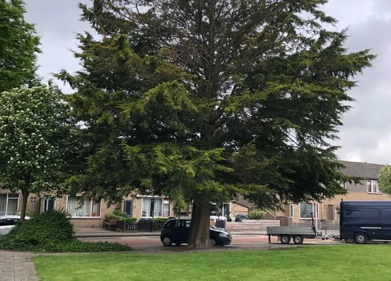 234561753 205199764979851 8835411658869106484 n 1