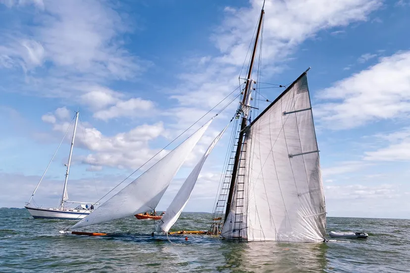 242307970 3060791274247776 4985089221730443079 n