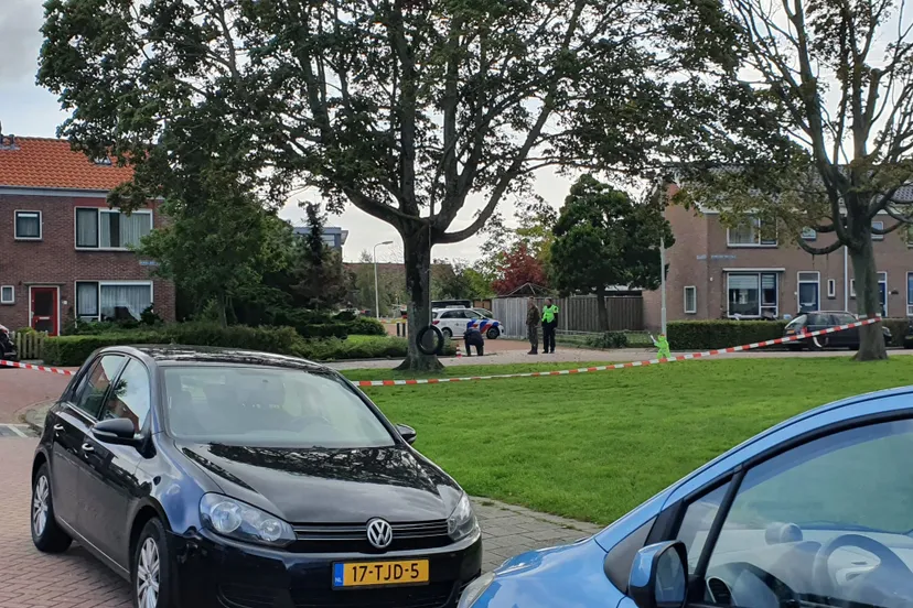 244951314 236634275171741 5812723669117127048 n