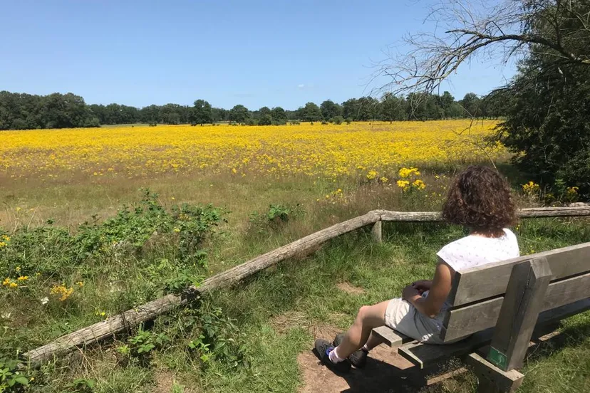 25a90d79 41f6 43c0 9c5d 80f12f01c198