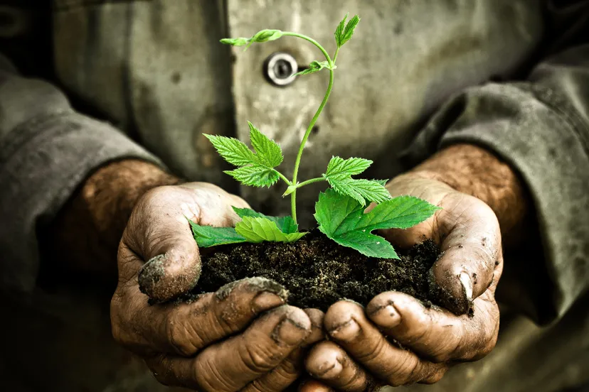 afbeelding startnotitie bodem 25 01 2022