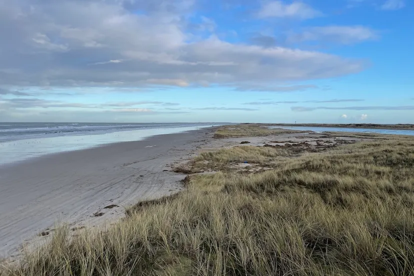 boschplaat foto staatsbosbeheer