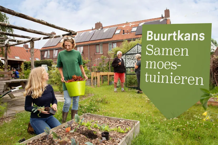 buurtkans voorbeeld moestuin
