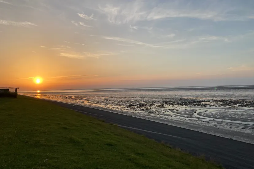 dijk langs waddenzee img 0012