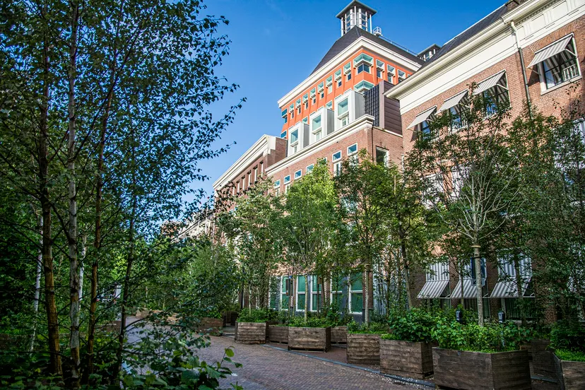 foto 110 th nb structureel herstel corona door projecten uit mienskip