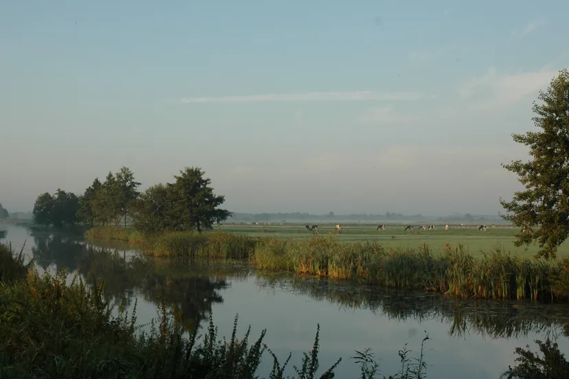foto polder hoekstra