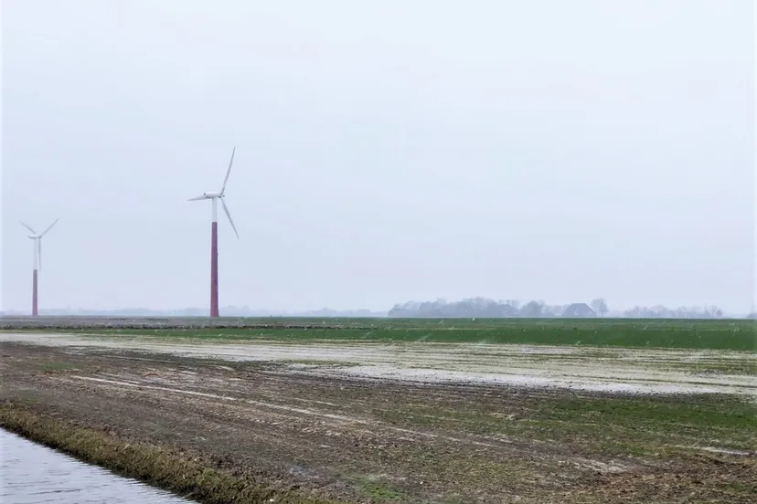 foto verzilting in fryslan peter prins