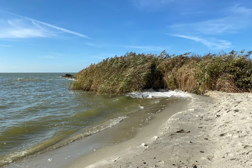 ijsselmeerkust lemmer tacozijl