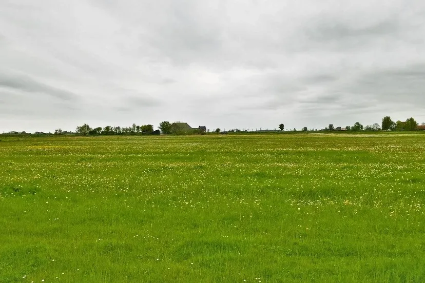 impressiefoto weidevogelcompensatie 178 lv