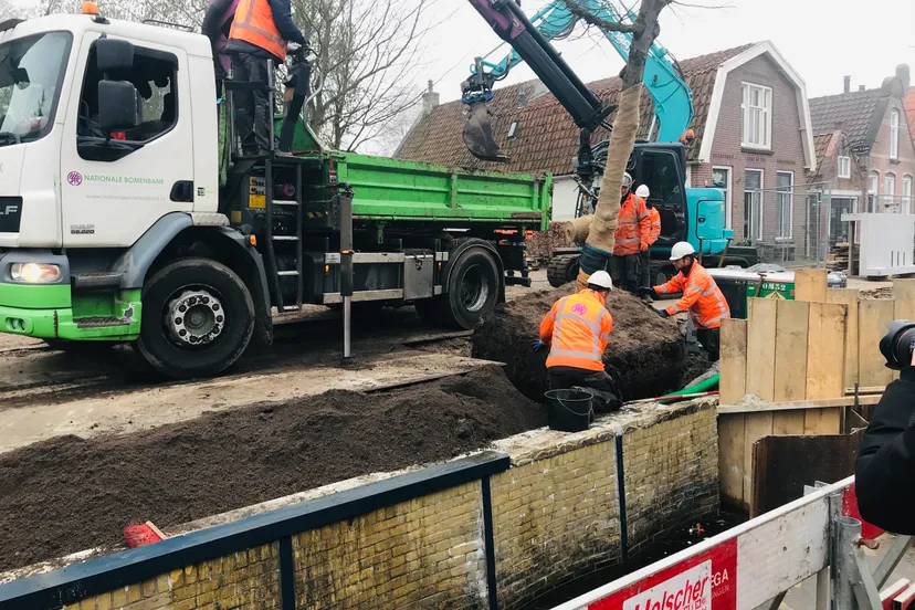 jansma drachten eerste boom balk lutskade luts teruggeplaatst 3