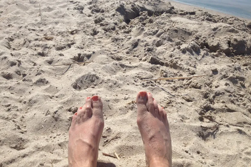 lemmer 2016 img 5742