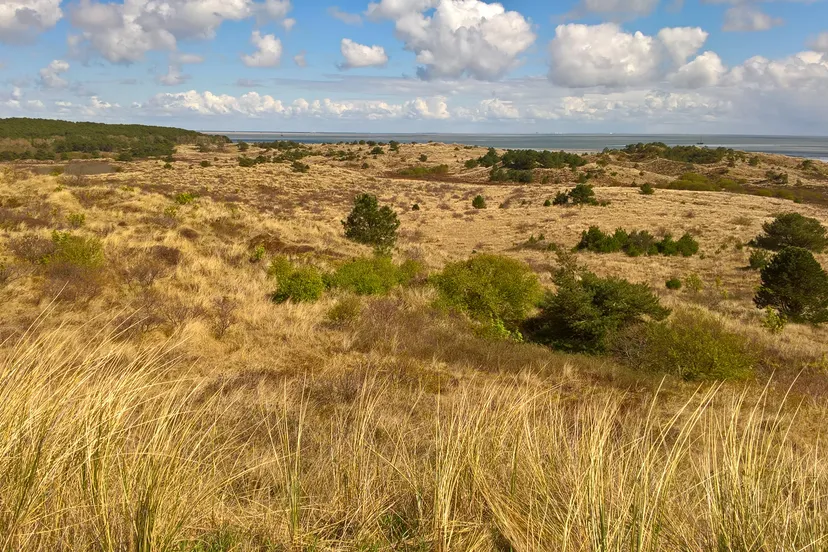 natura 2000 op vlieland