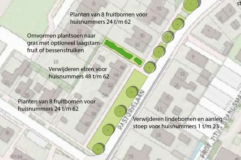 overzichtskaart ontwerp bomen