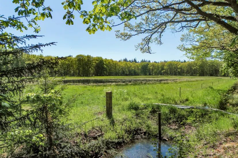 poel bij bakkefean nnn
