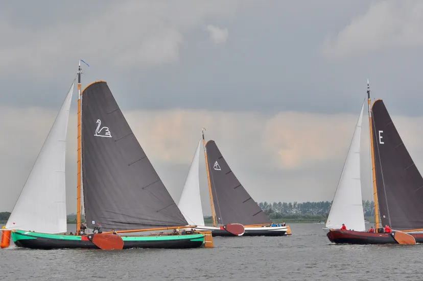 rechtenvrije foto friesland