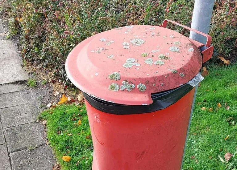 rode hondenpoepbak 768x917 1