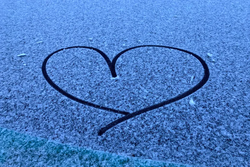 sneeuwhart 2021 img 4275