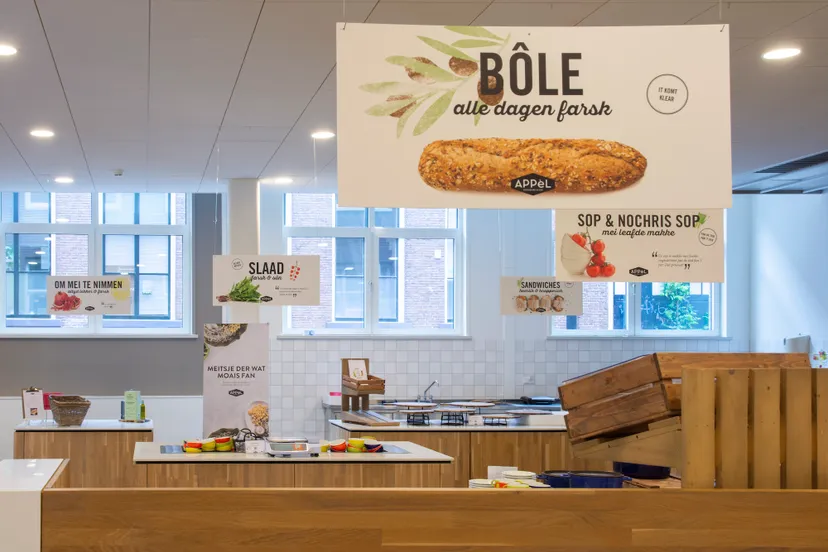 subsidieregeling sichtberens fryske taal 2023