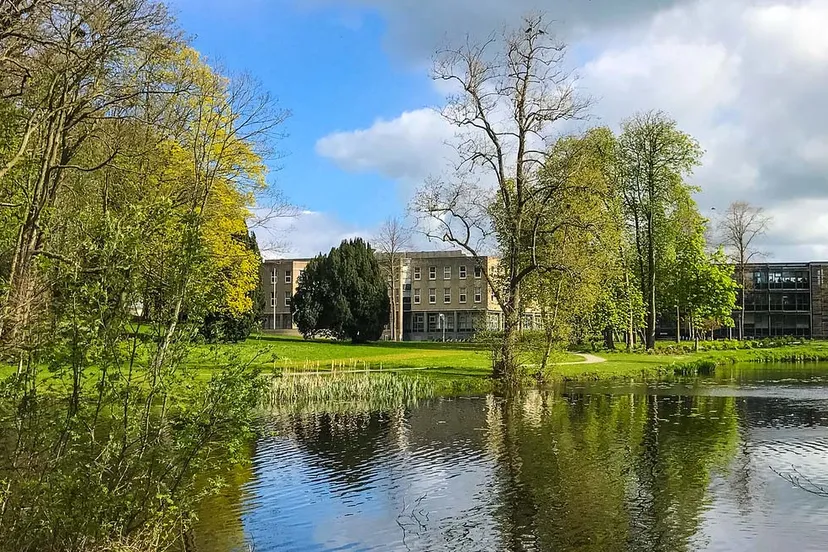 twitter at gemeentedfm