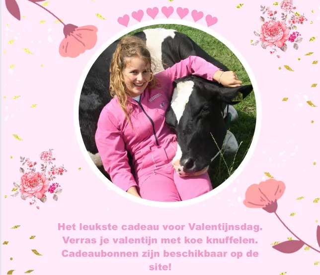 valentijnsdag koe knuffelen