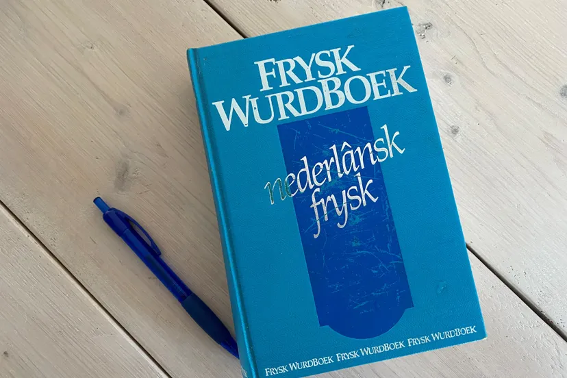 wurdboek frysk