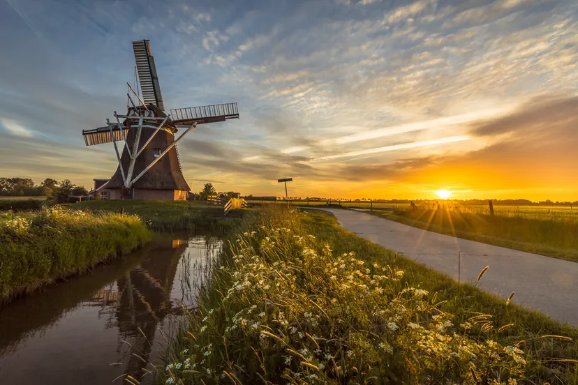 npi fryslan 1920x1080