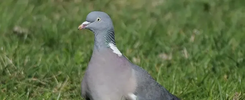 849d18c8 e6bf 4df4 8cfb bd65087f151ajpg