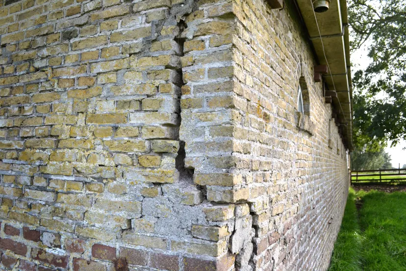 foto 7 copyright rob de wind