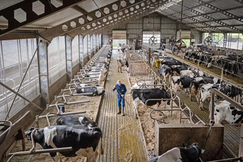 Foto Marcel van Kammen