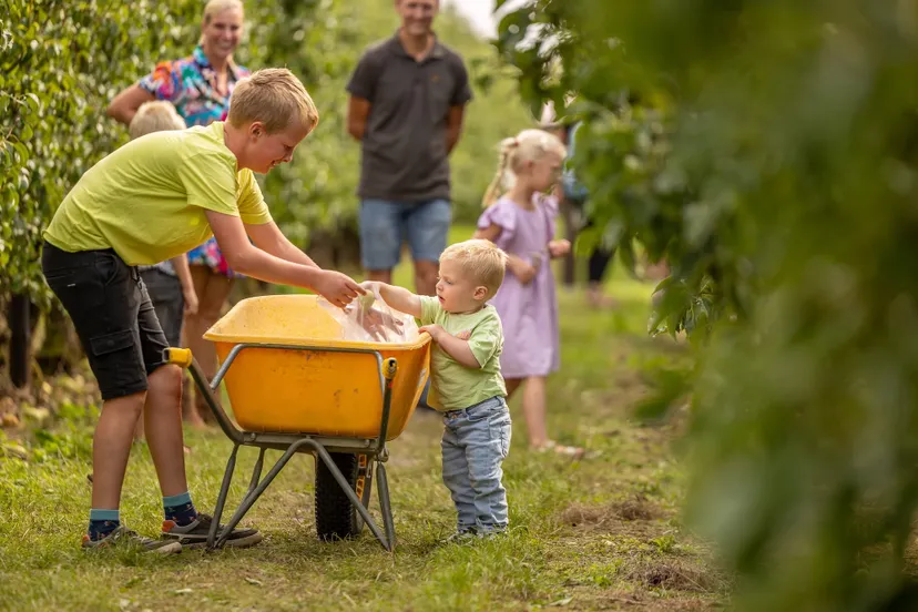 VinkFruitboerderij_FruitFestival 2025