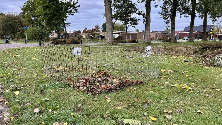 Bladkorf-scaled-e1760098824454-768x433