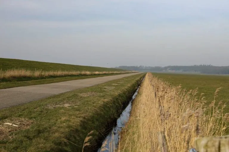 Groot-weiland-Oudemirdum-1024x683-1-768x512