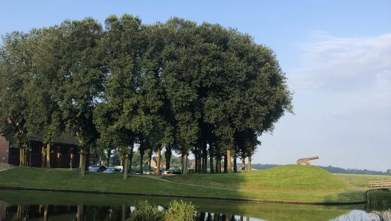 IMG_5721-scaled-e1760102094256-768x434