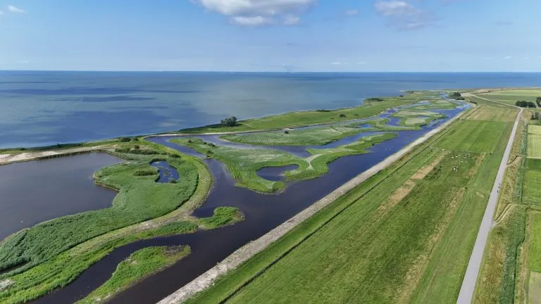 Mokkebank-Laaksum-Foto-It-Fryske-Gea-768x432