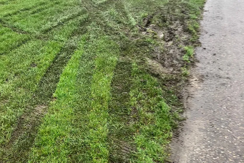 Foto 1 Crosssporen in en bij de dijk bij Ferwert