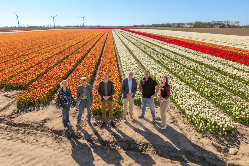 Rabobank-Tulpenroute-TulpenfestivalNOP_©David-Verolme