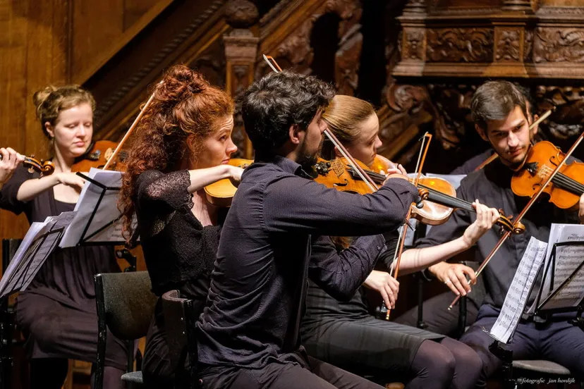 05 ciconia consortjan hordijk 1024x700 1