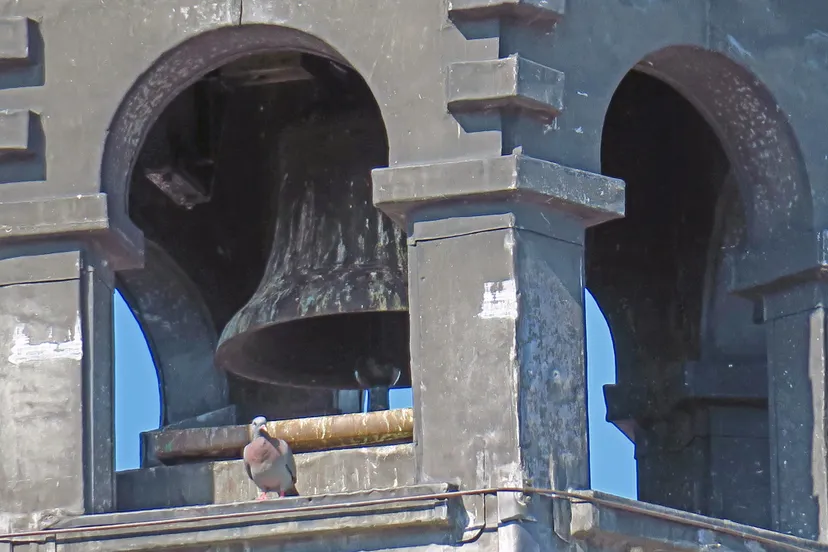 06 klok sint janscentrum