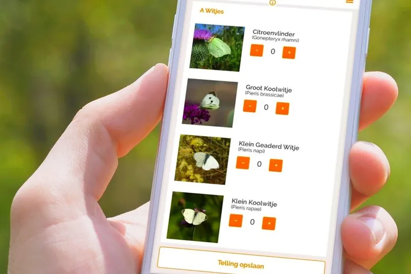 1269 d89c1d0a0e7a4ce05b997efc151f5f6e