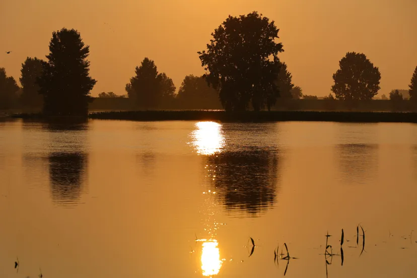 2021 07 20 fpmb7014 waalwijk maas hoogwater zon scaled