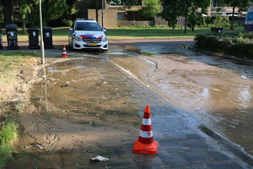 20230609073241 fpmb9802