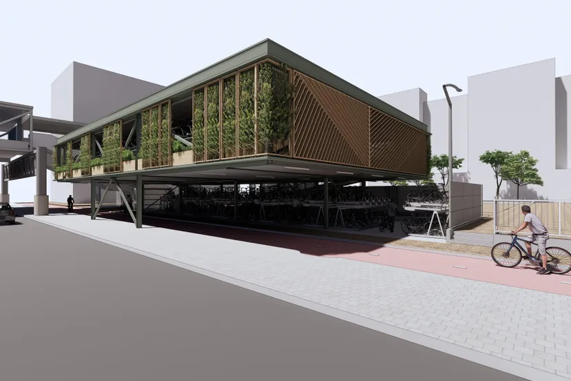 273201698 303718231790373 5152587037551367589 n