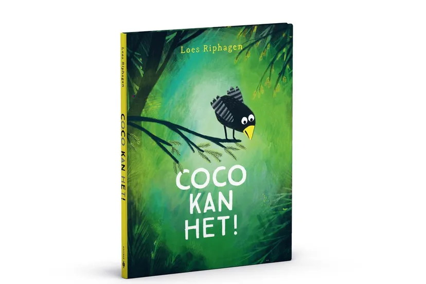 3d omslag coco kan het
